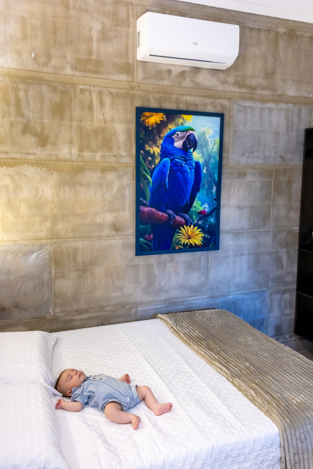 Joaquim, o Joca, dormindo em um dos apartamentos